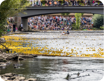 Crowd watching from riverbank and bridge as kayaker paddles through river with yellow flowers floating.