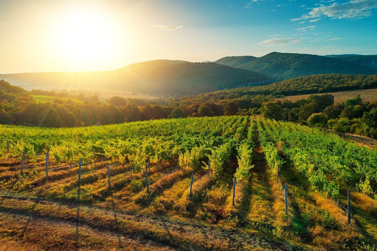Sunset view of Napa Valley, which became a home away from home for Dr. Dave Cutts, now enjoying life as a dentist in Temecula and La Quinta