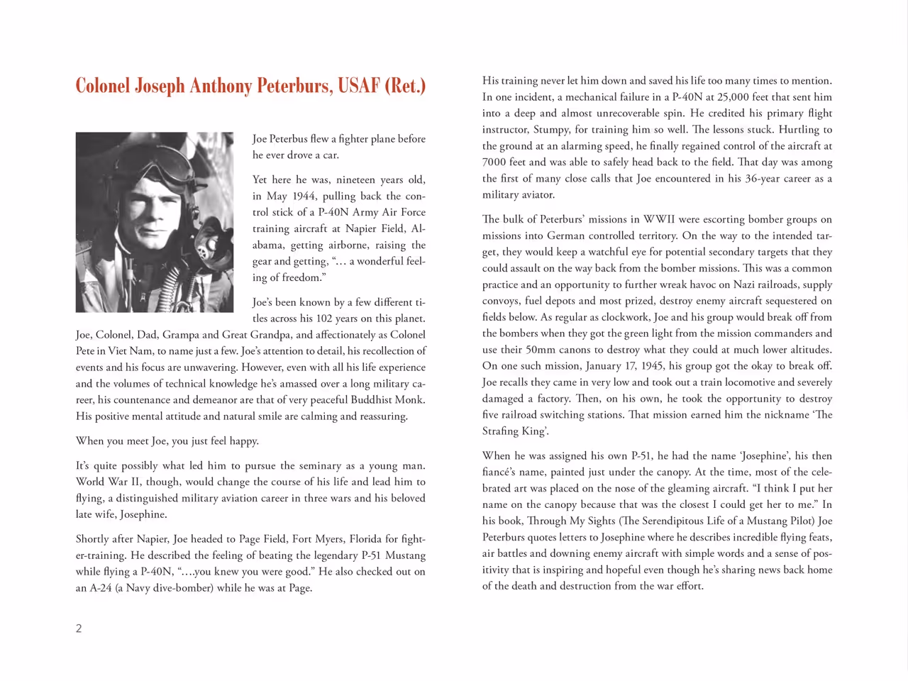 They Fly sample page