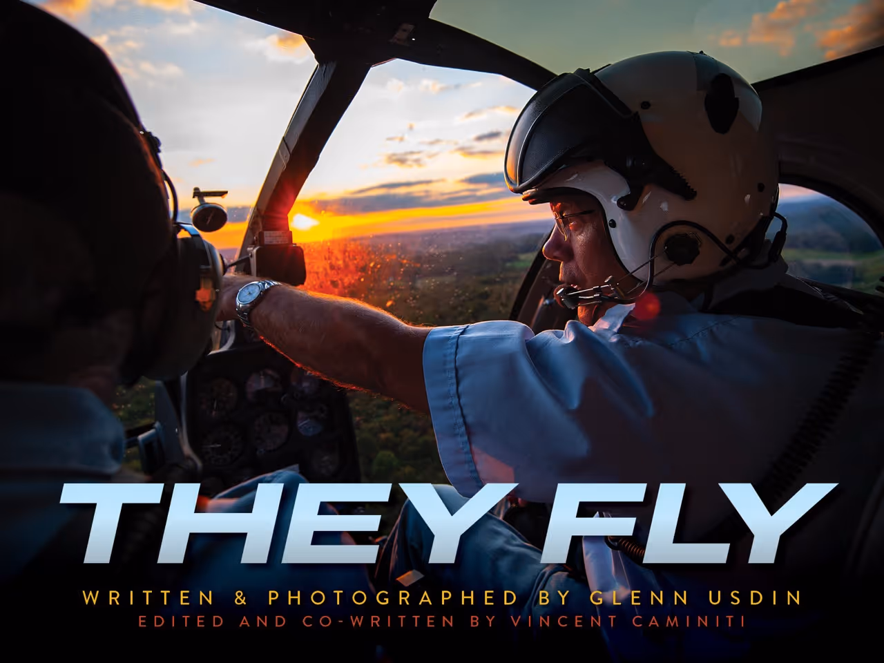 They Fly cover
