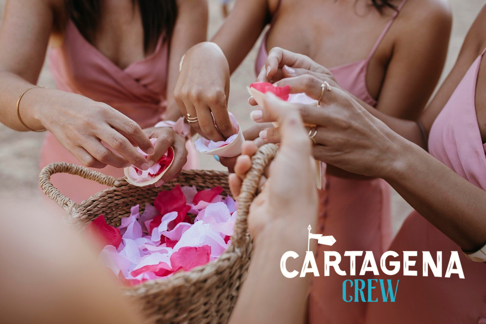 Cartagena’s activities