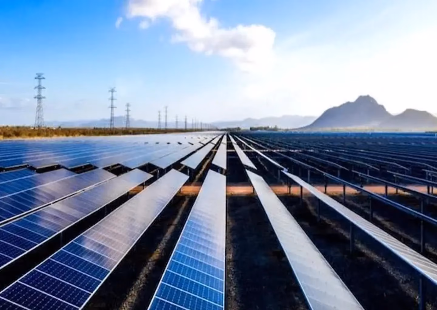Solar panels installed across a utility-scale renewable energy facility.
