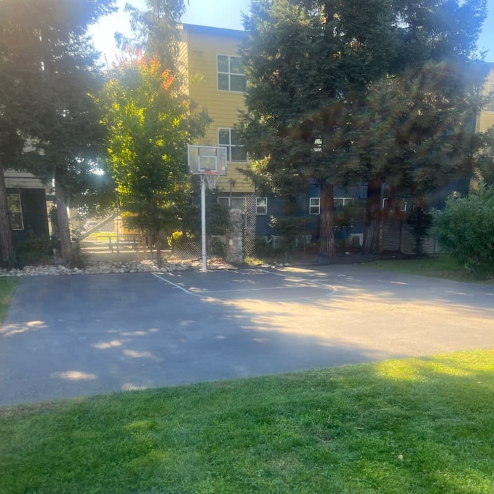 Basketball court