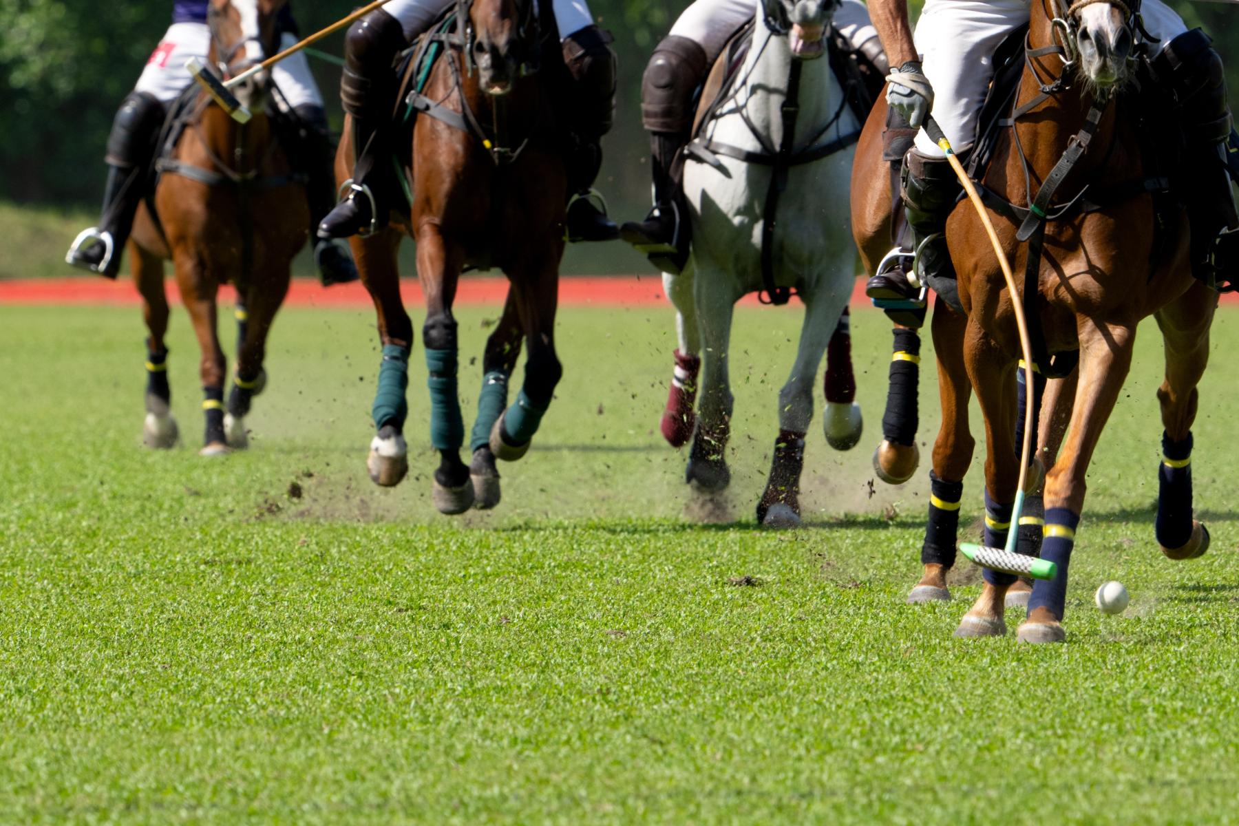 Close-up of polo players riding horses chasing a ball on a grass field, kicking up dirt.