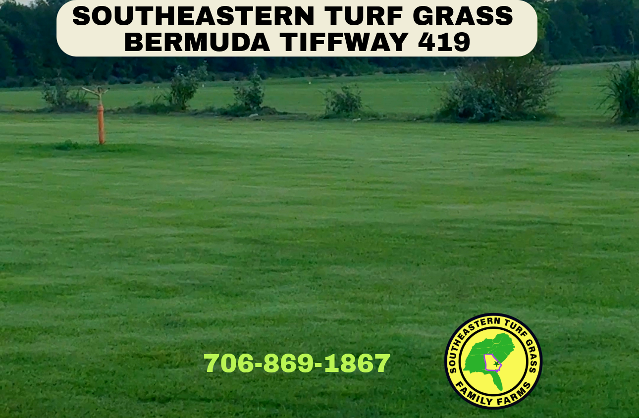 Large green turf grass field with shrubs and Southeastern Turf Grass logo and phone number.