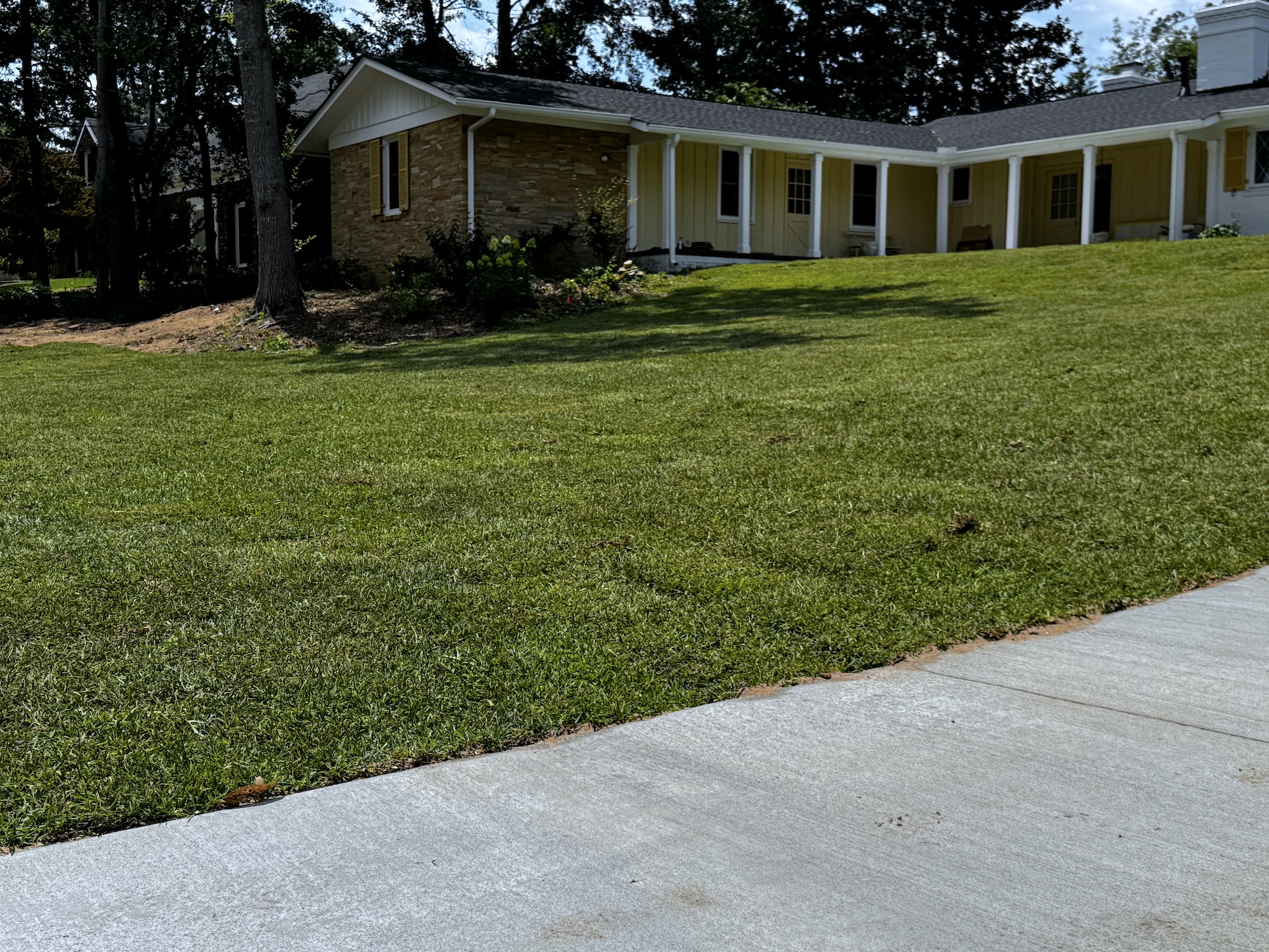Green lawn in front of a yellow and stone house with a gray sidewalk in the foreground.