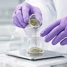 Custom Formulas