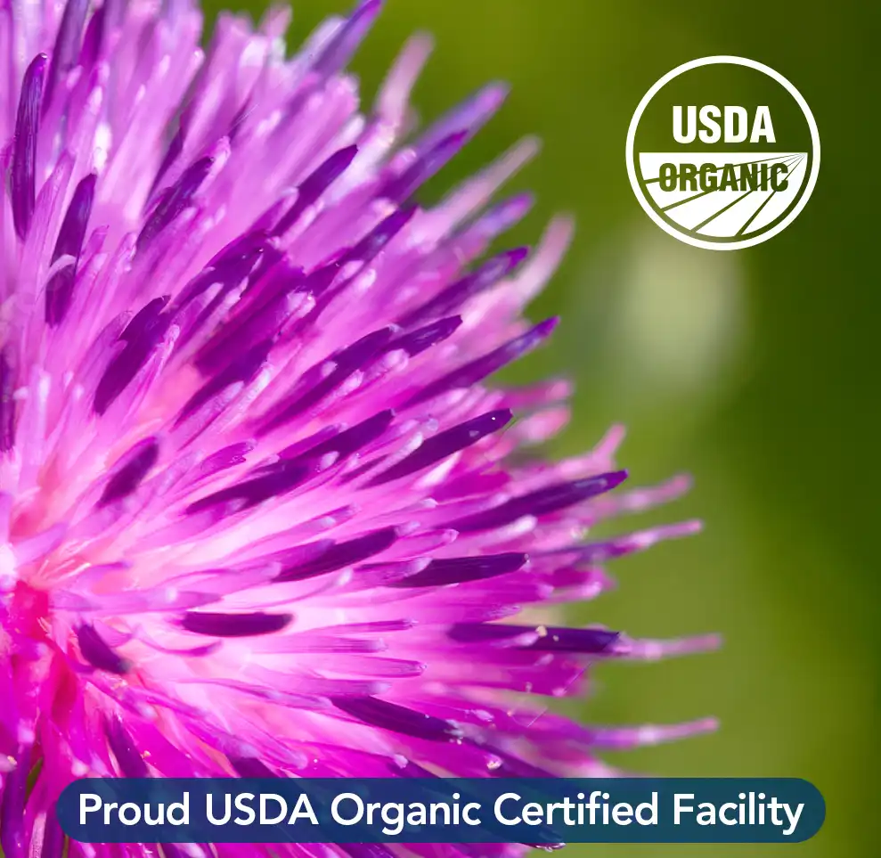 Close-up of a purple thistle flower in bloom, with the USDA Organic certification seal