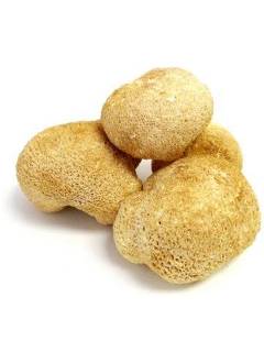 Natural supplement ingredients and herbs for health product formulation