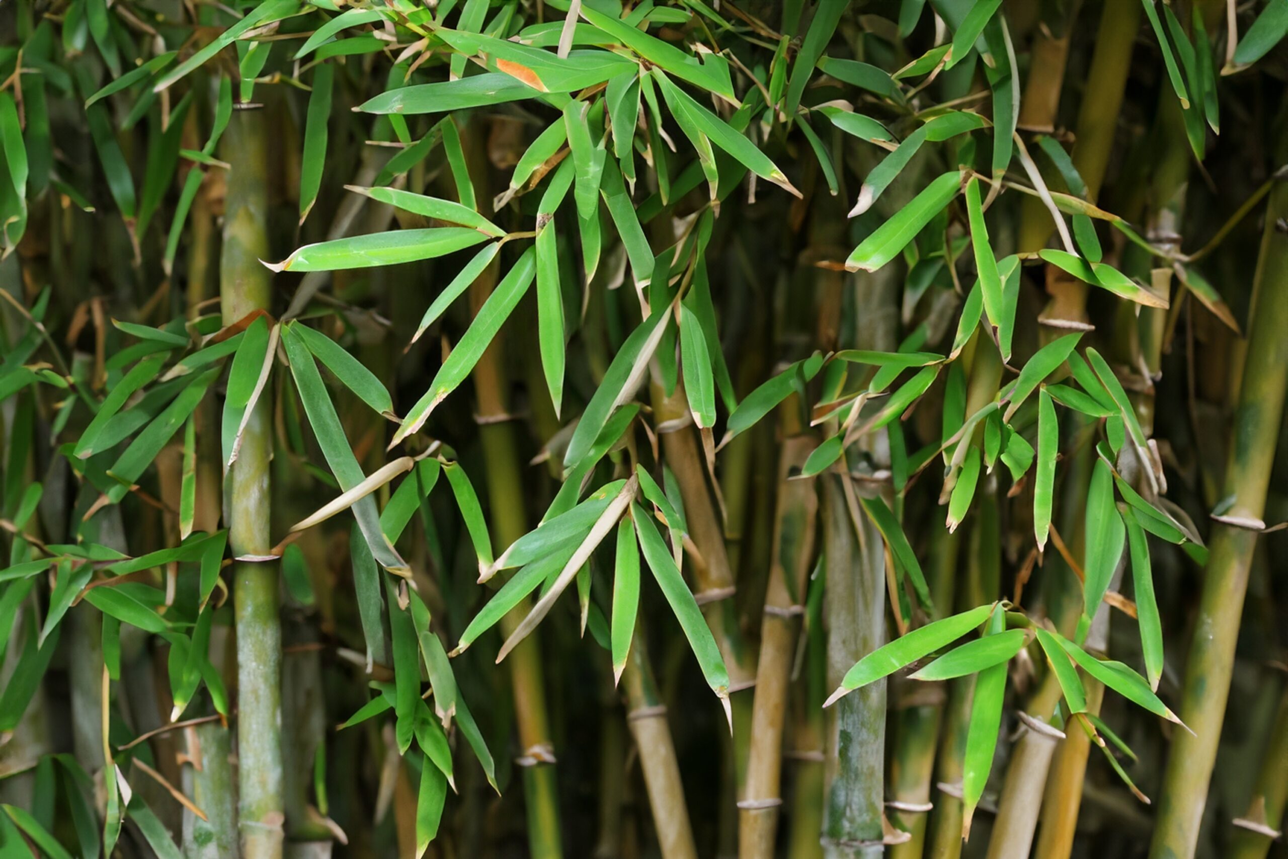 Blog image
