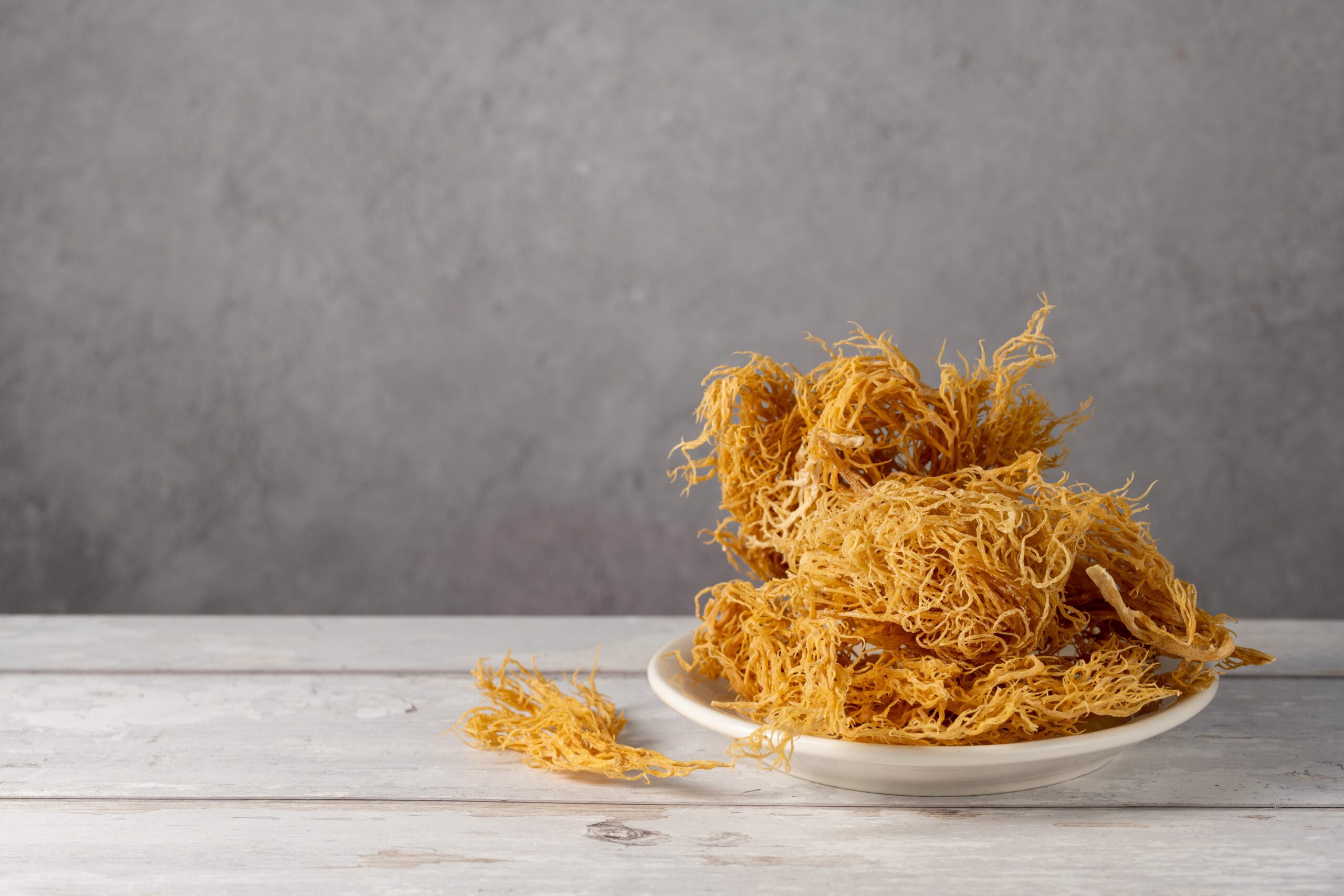 Sea Moss & Algae-Based Supplements: The Fast-Growing Natural Ingredient Opportunity