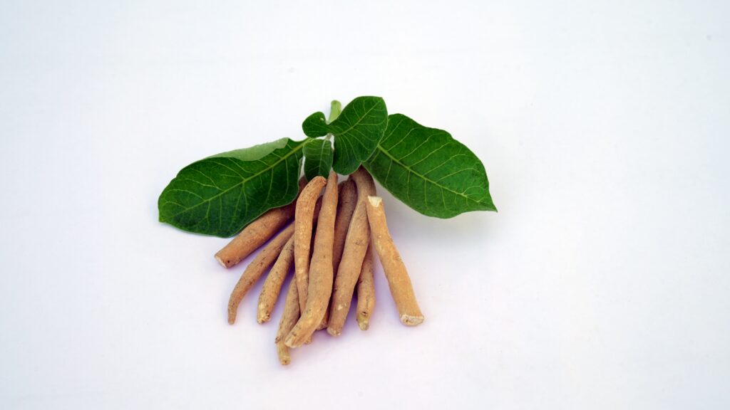 Natural adaptogen and botanical ingredients used in mood and metabolism supplement formulas