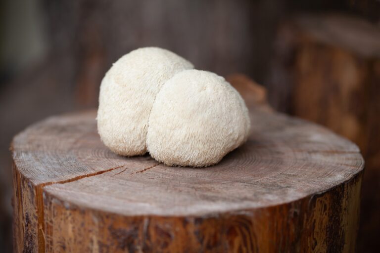 Functional mushroom supplements including lions mane and cordyceps