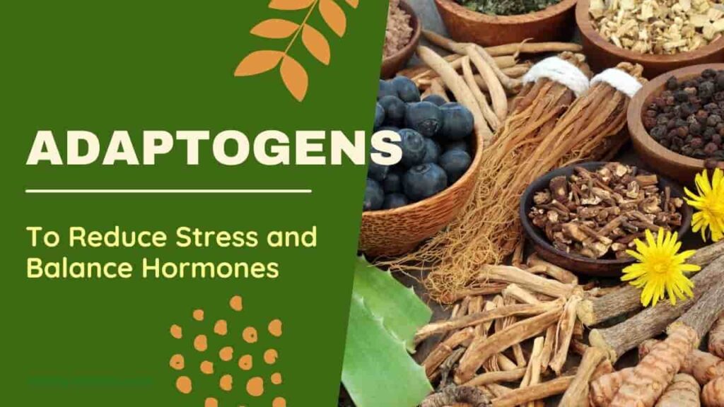 Adaptogens reduce stress natural herbs and supplements for wellness