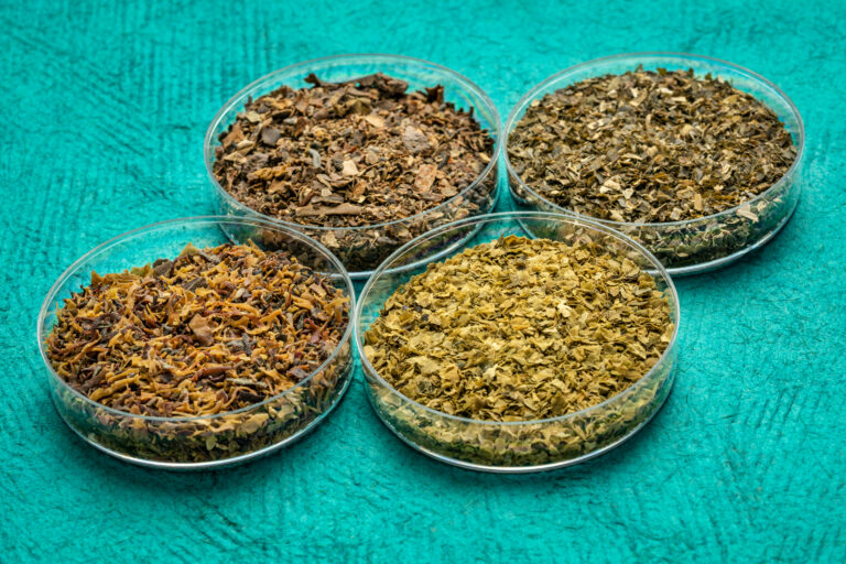 Dried sea moss and seaweed samples on a table.