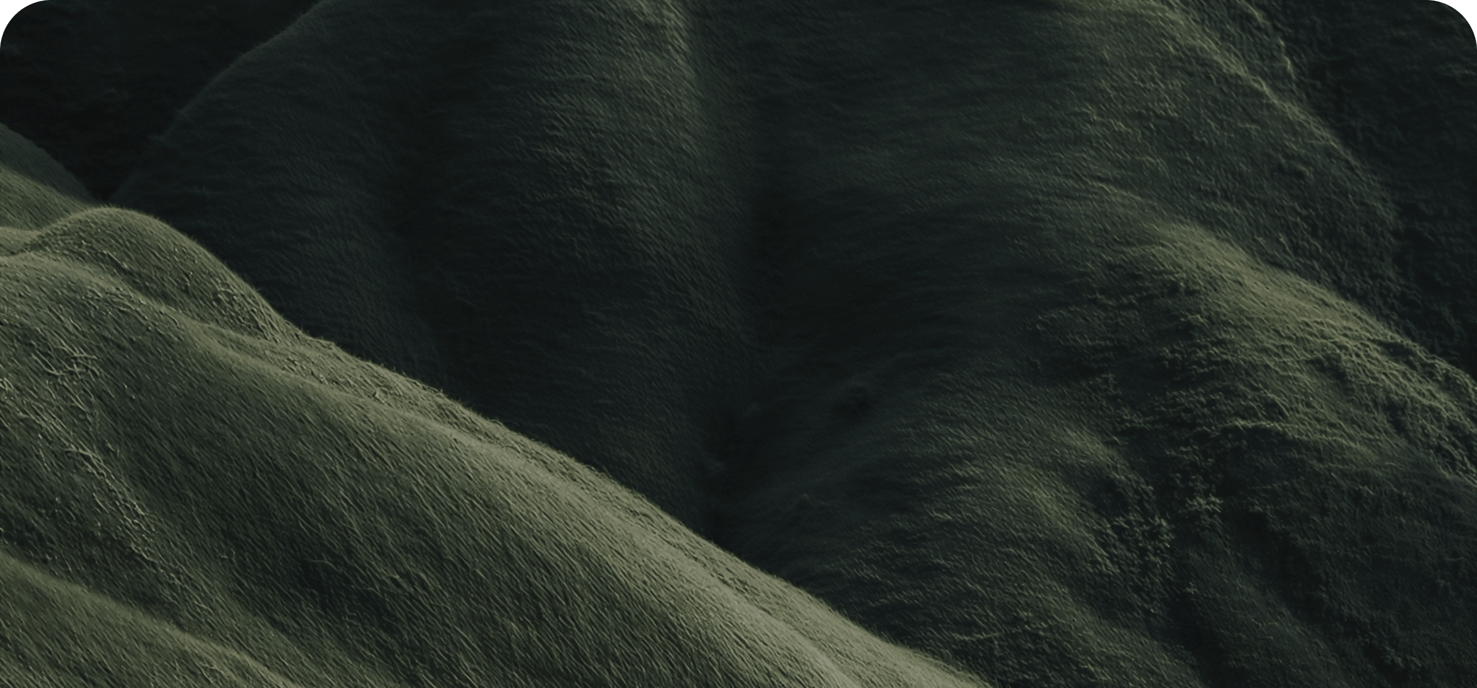 Misty green hills
