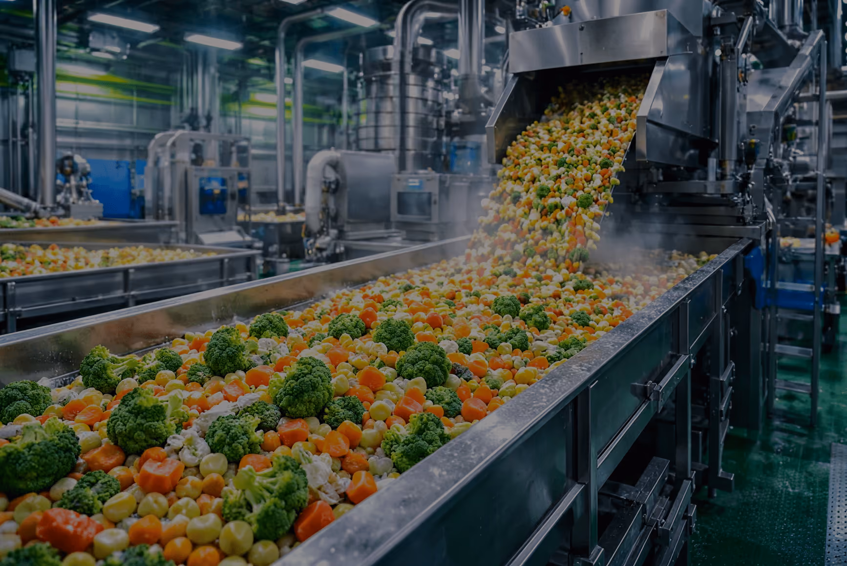 Broccoli, carrots, and mixed vegetables moving through an industrial processing line