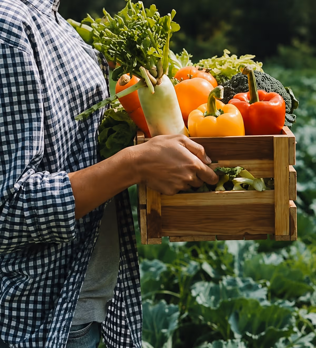 Farmer carrying a wooden crate of fresh vegetables including peppers, carrots, and greens