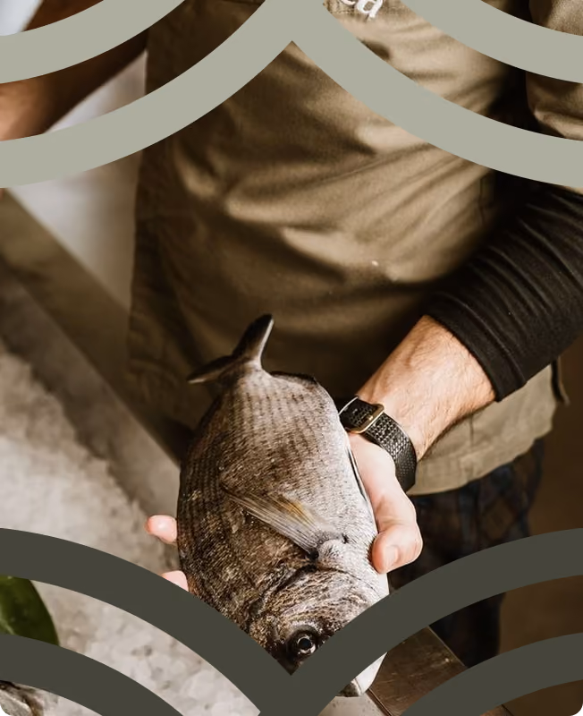 Person holding a freshly caught fish over ice