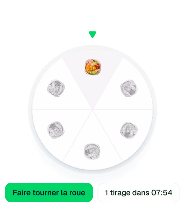 Roue de la fortune avec un segment en couleur et un bouton vert marqué "Faire tourner la roue."
