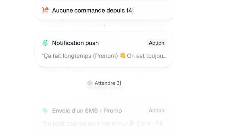 Flux d'actions marketing : commande absente 14j, notification push, attente 3j, envoi SMS promo.