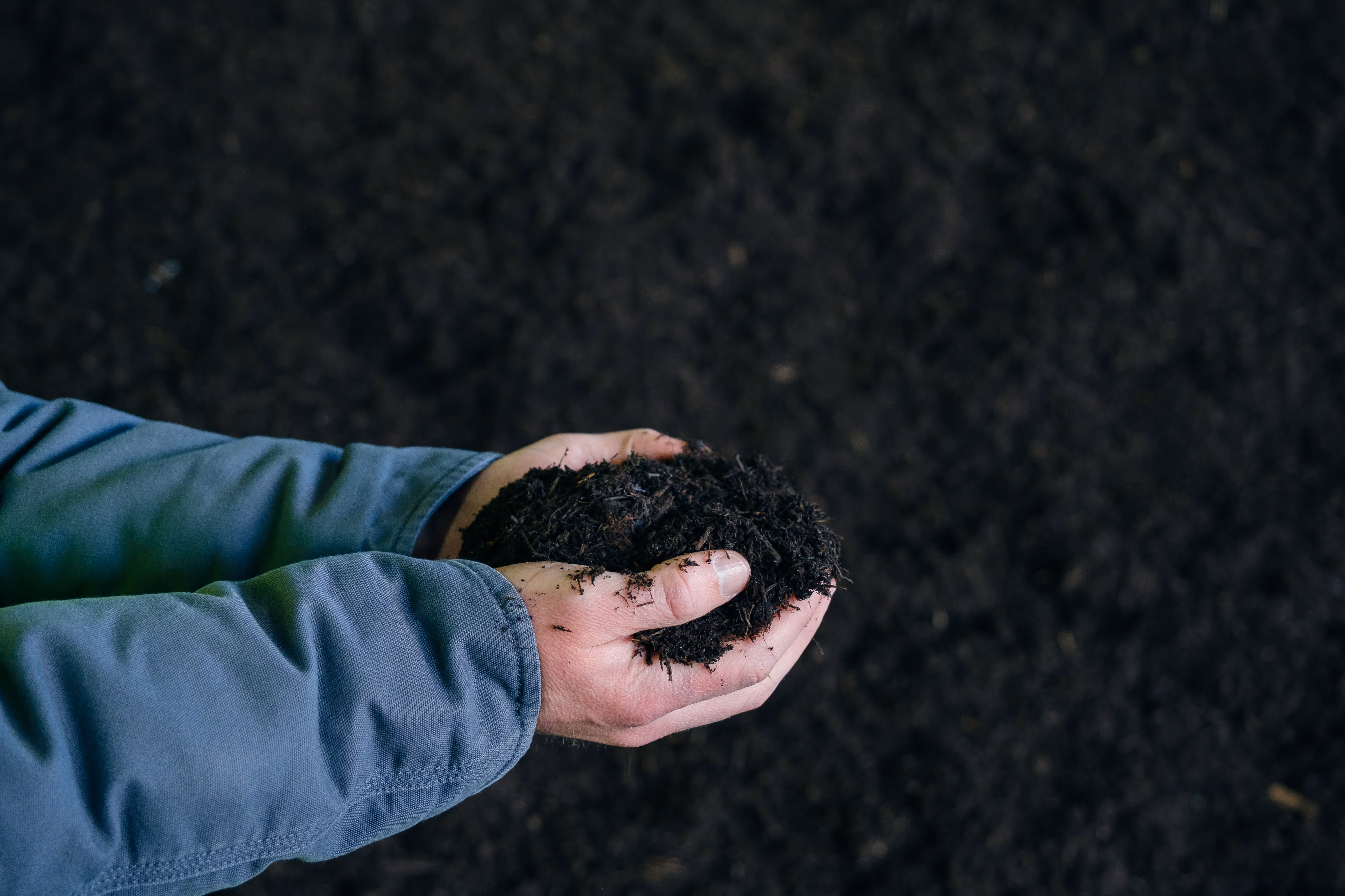 Hands holding a pile of dark, rich compost soil over a background of compost.