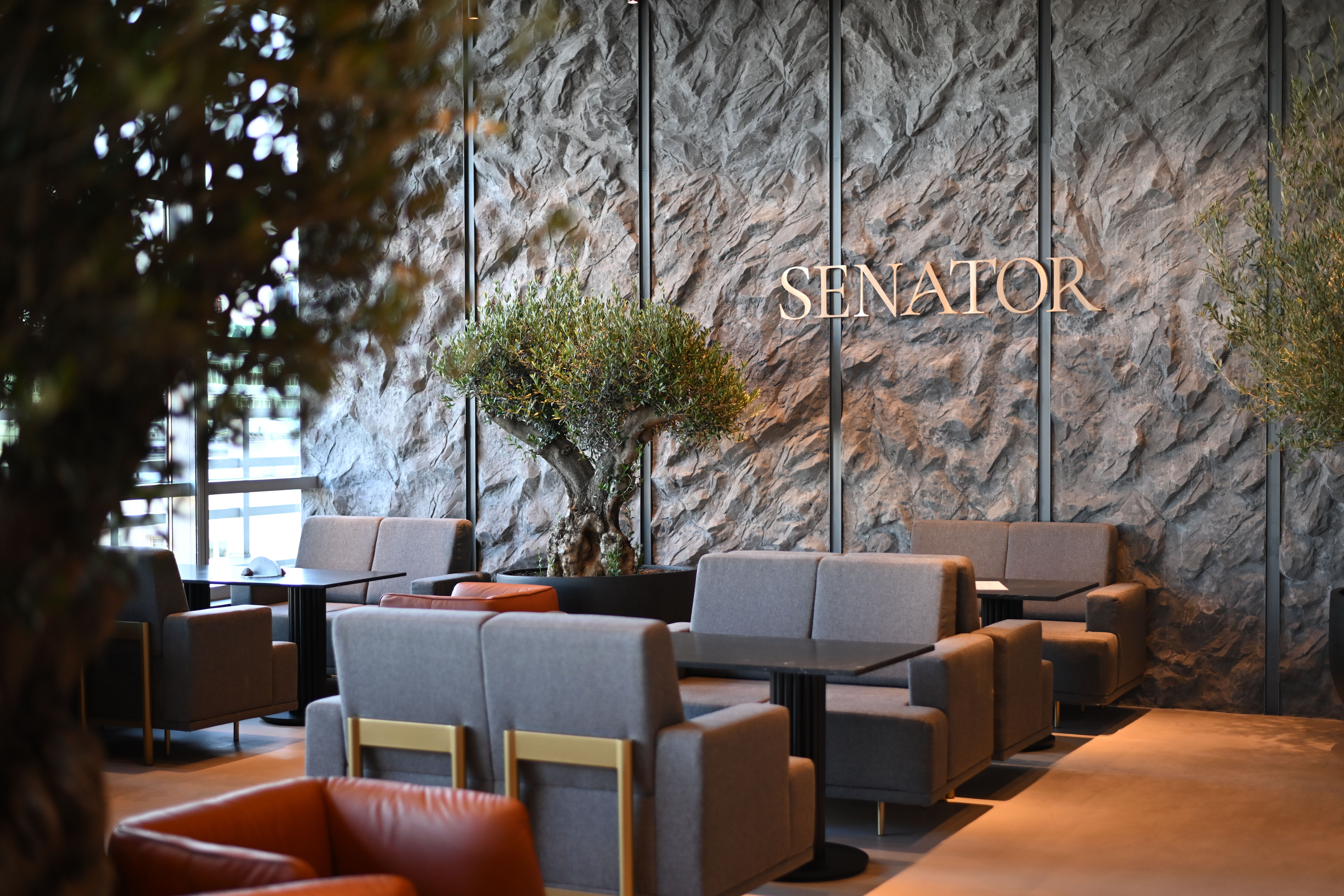 senator warsaw
