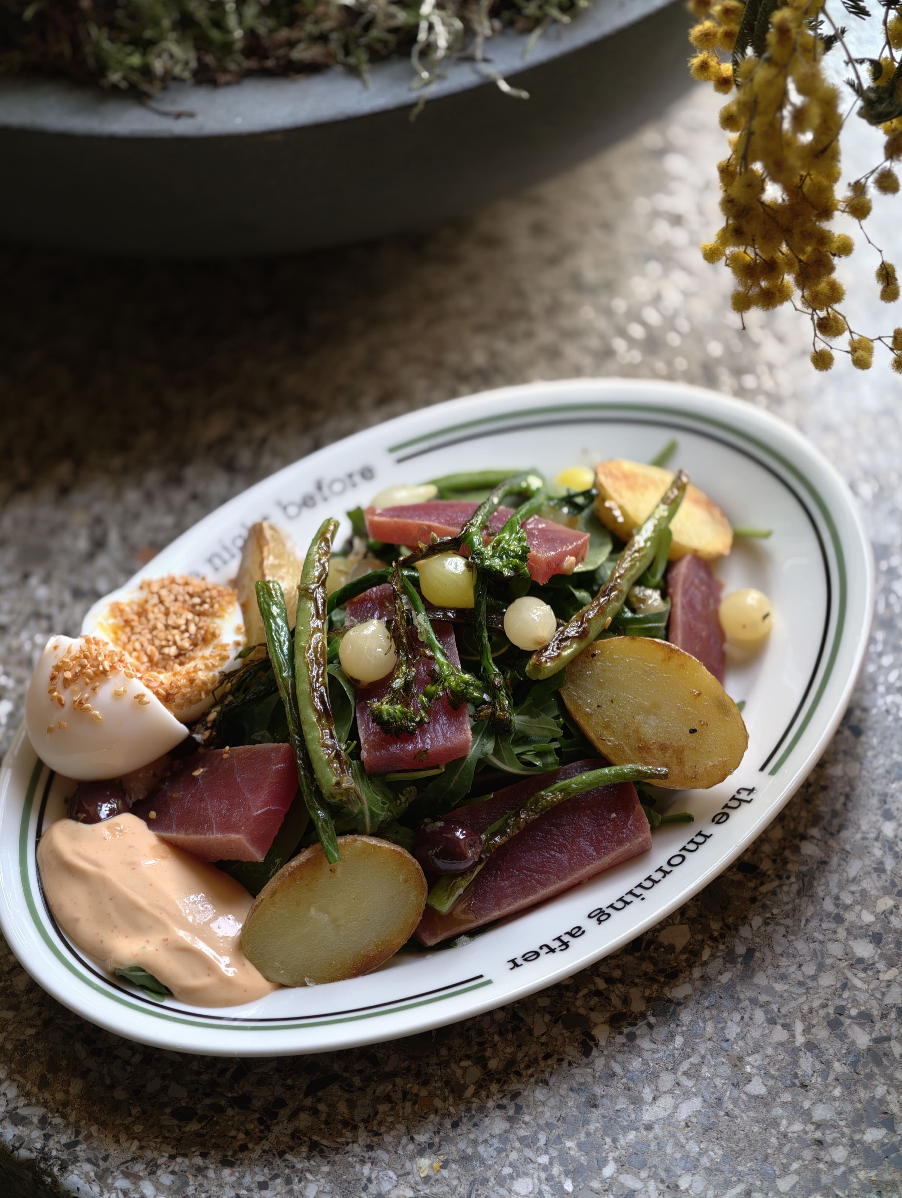 The Niçoise tma