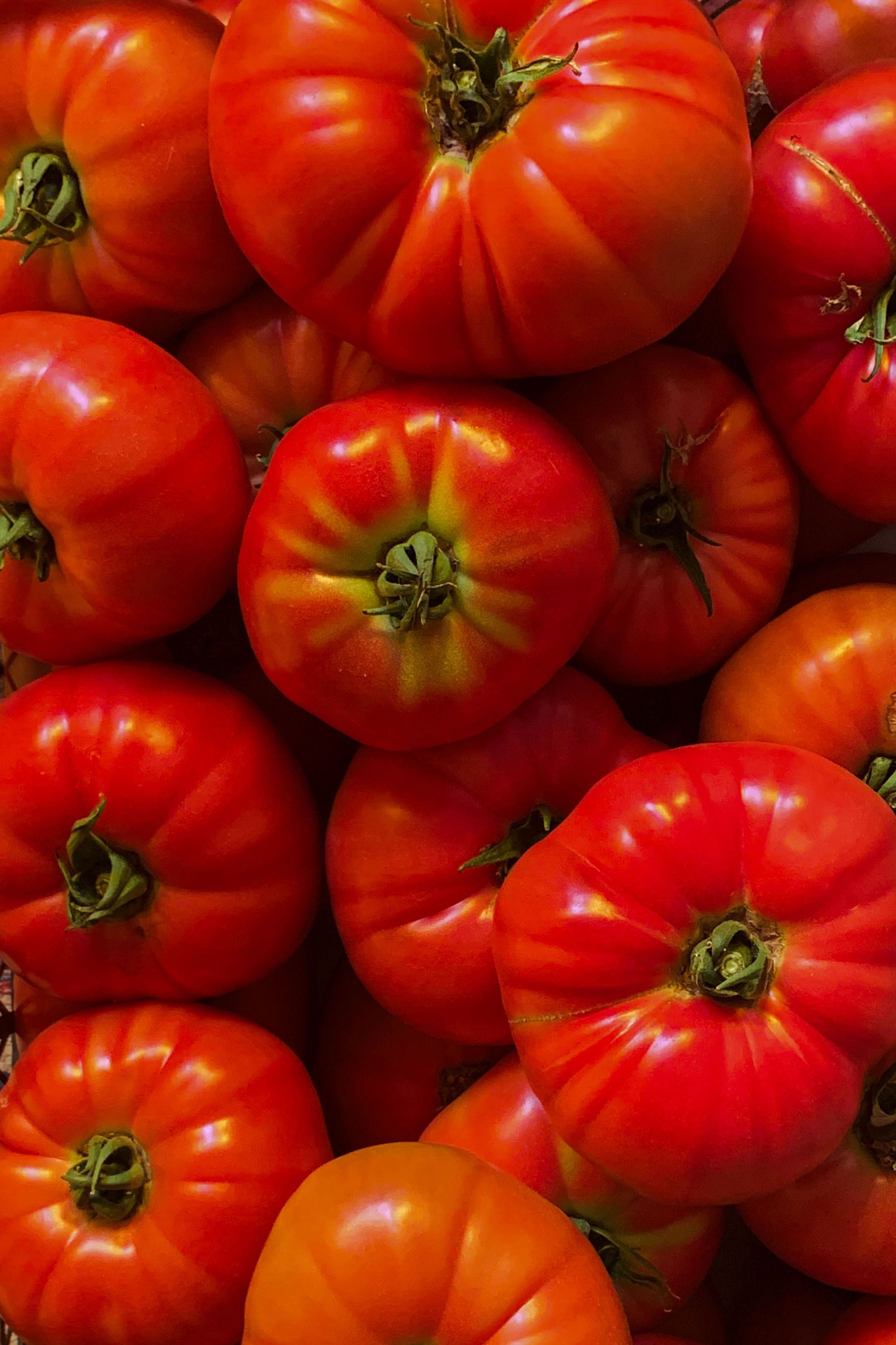 Secret Tomato Dinner Warsaw