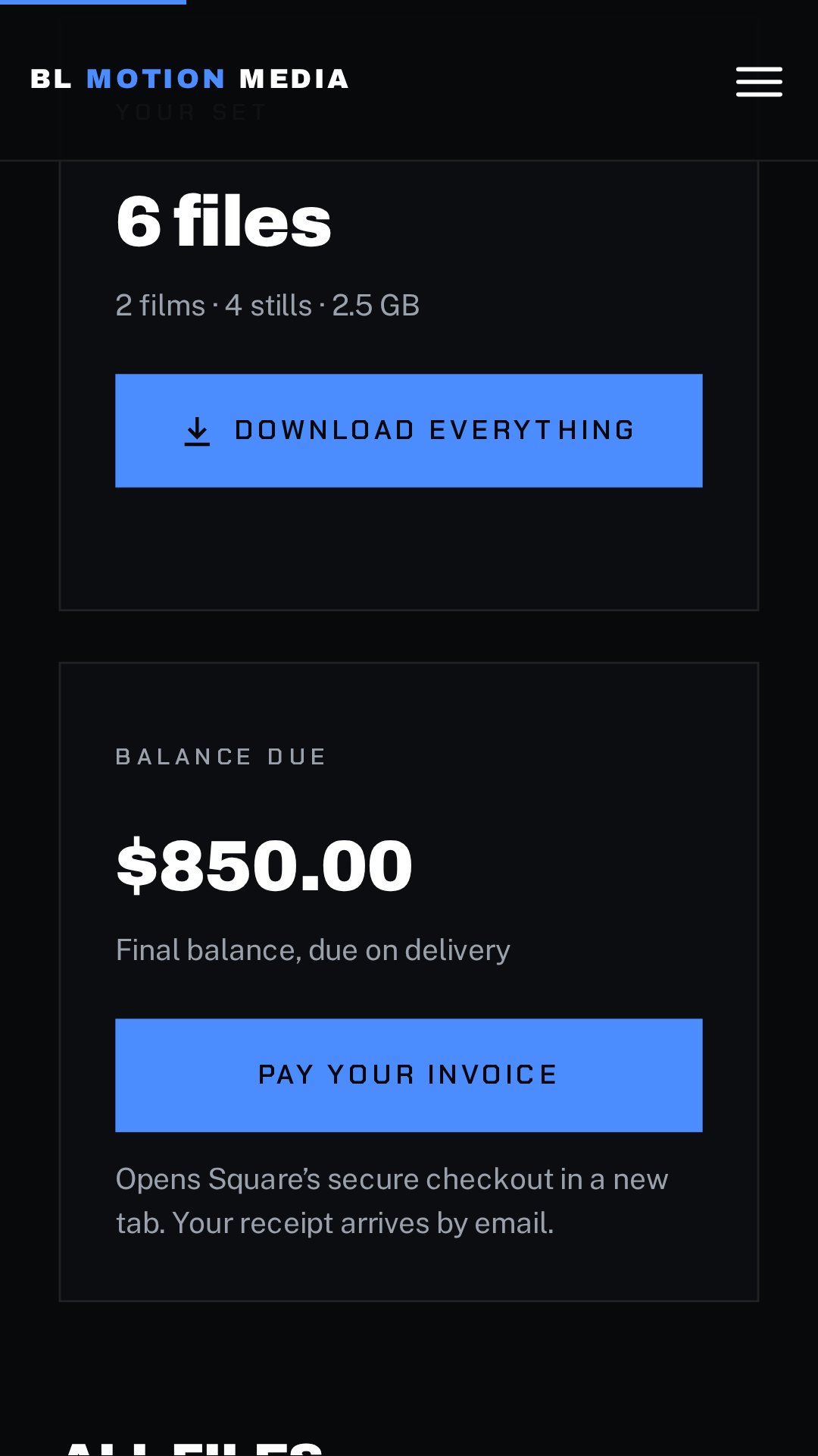 Client portal on a phone: the set summary, the balance due and the Pay your invoice button