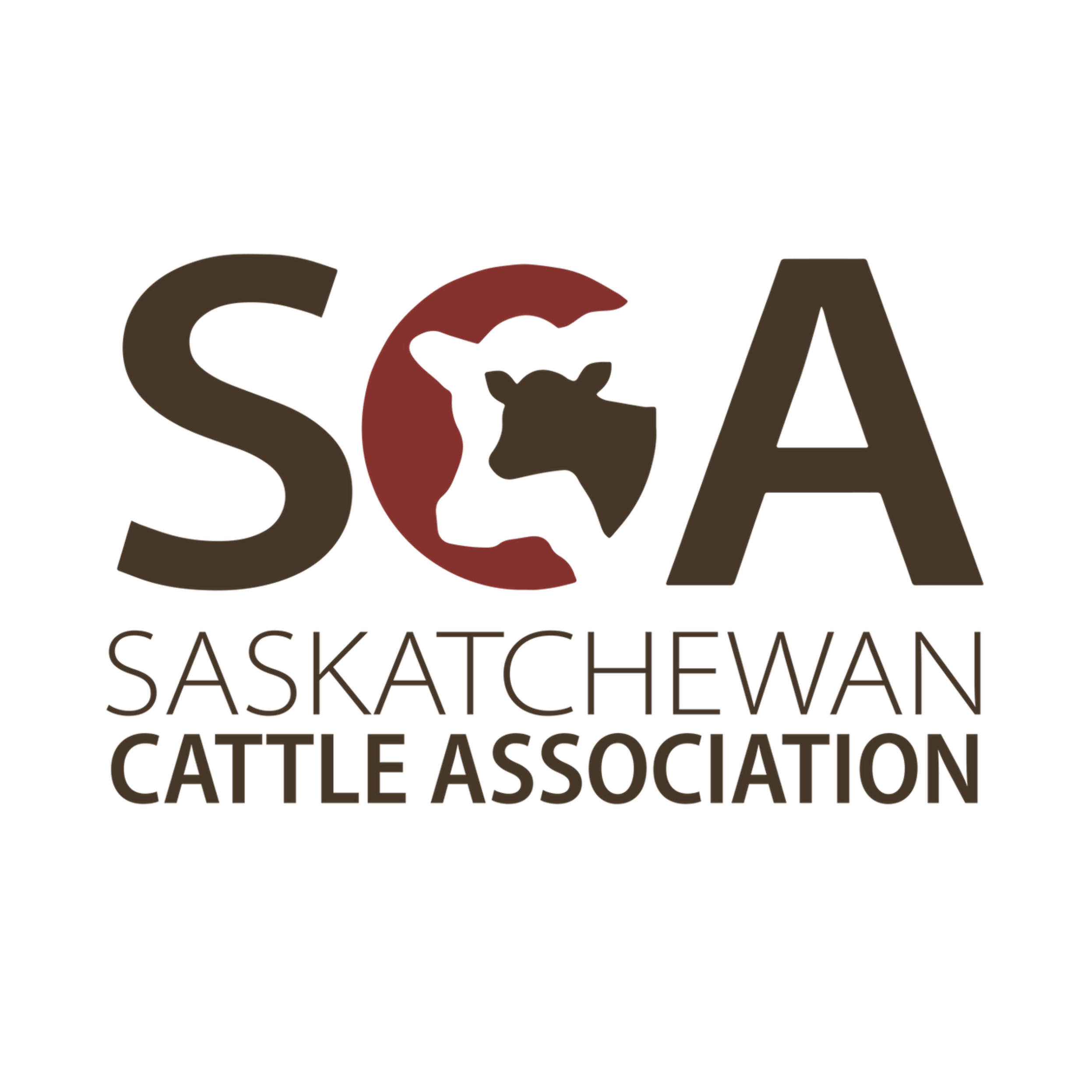 Logo of Saskatchewan Cattle Association with stylized S, silhouette of a cow, and A letters.