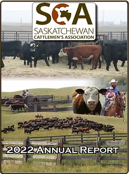 Cover of 2022 Saskatchewan Cattlemen's Association report with cattle, cow, and riders on horseback.