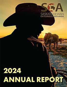 Silhouette of cowboy with cattle in snowy field at sunset, Saskatchewan Cattlemen's Association 2024 report.