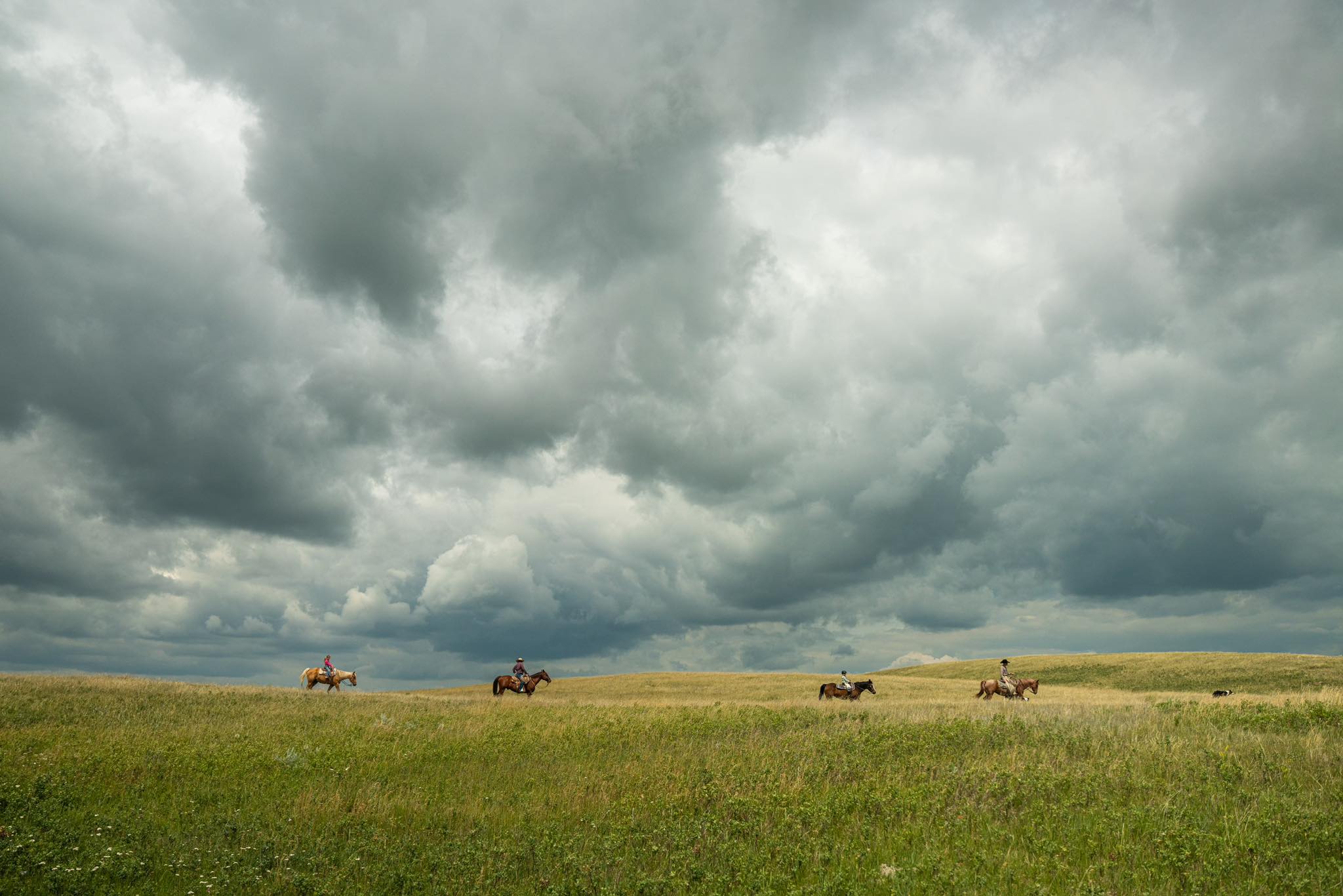 Four people riding horses on grassy hills beneath a dramatic cloudy sky.