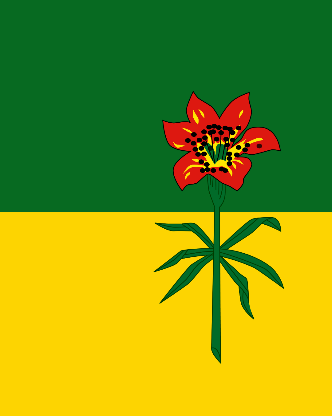 Red lily flower with green stem and leaves on a split green and yellow background.