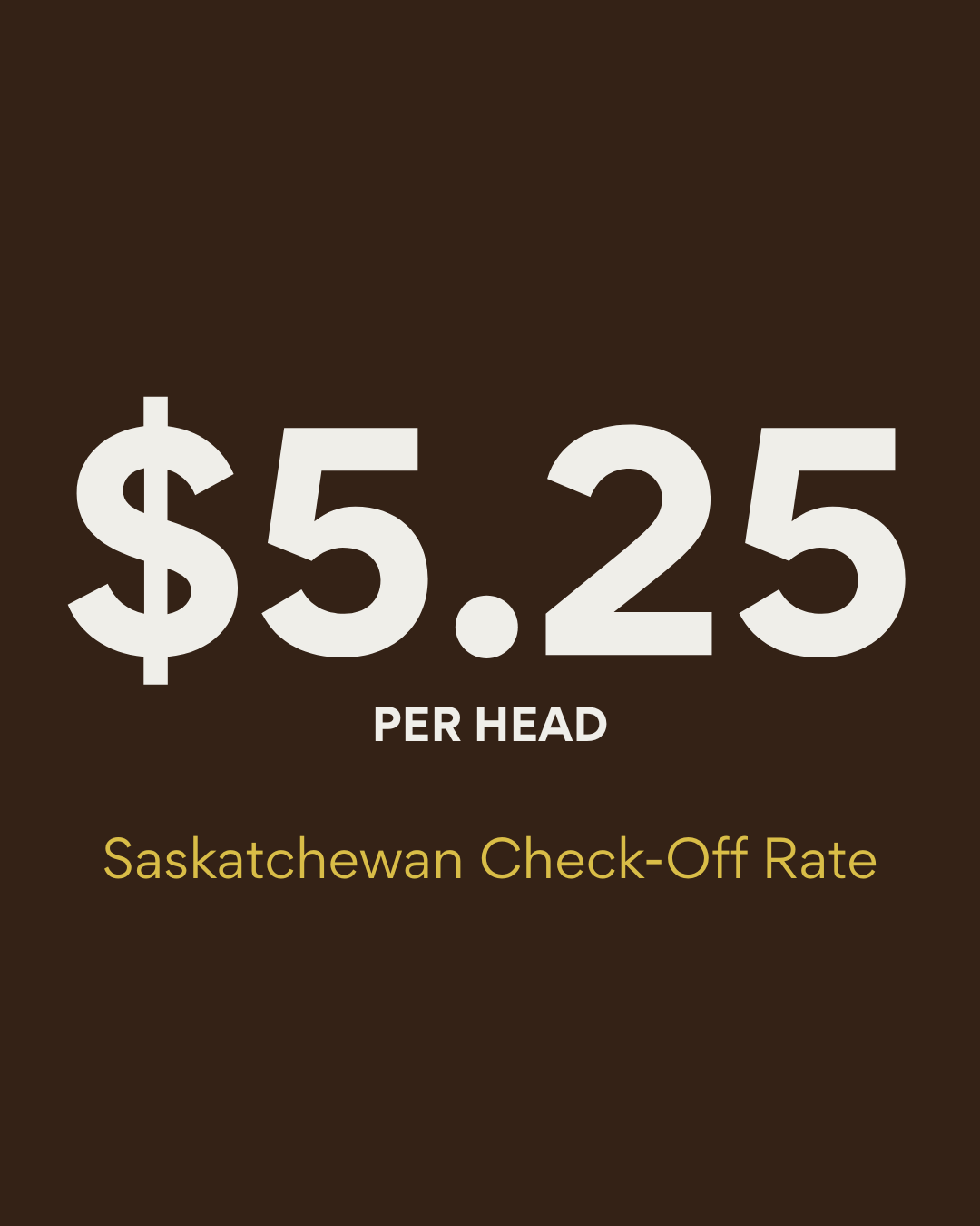 $5.25 per head Saskatchewan Check-Off Rate text on dark brown background.