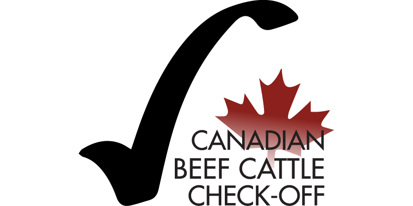 Canadian Beef Cattle Check-Off logo with stylized red maple leaf above the text.
