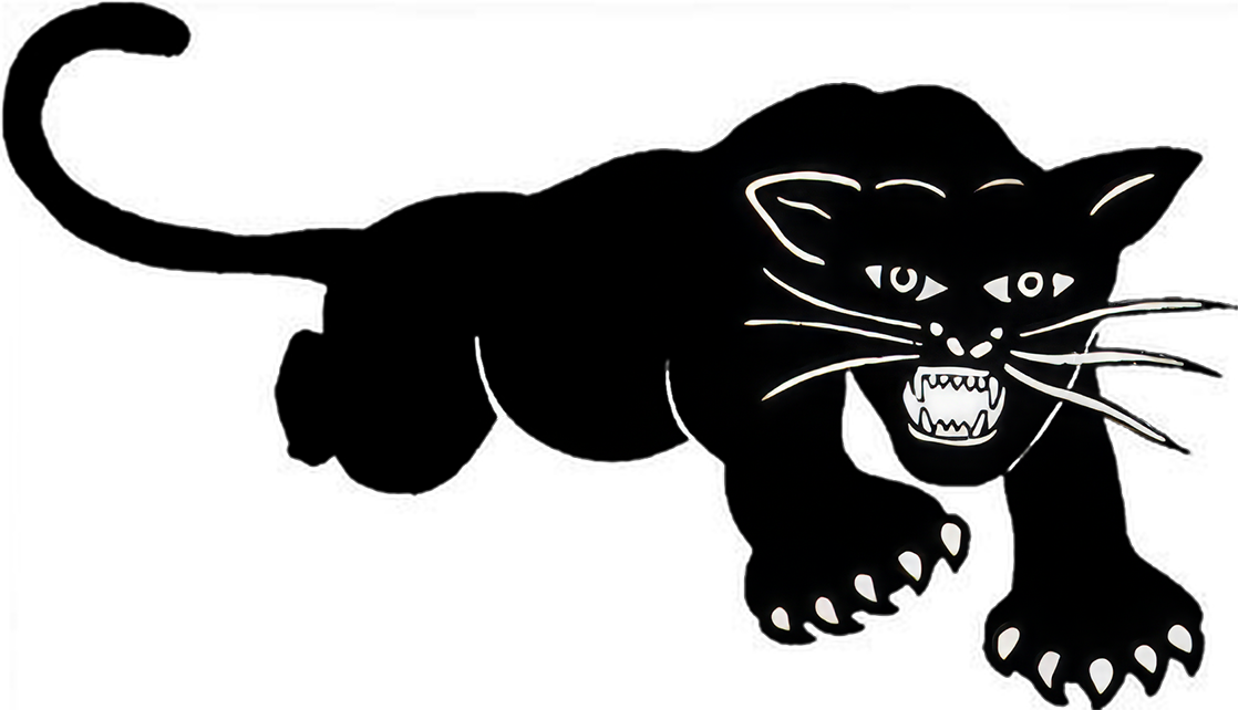 Black Panther Flag