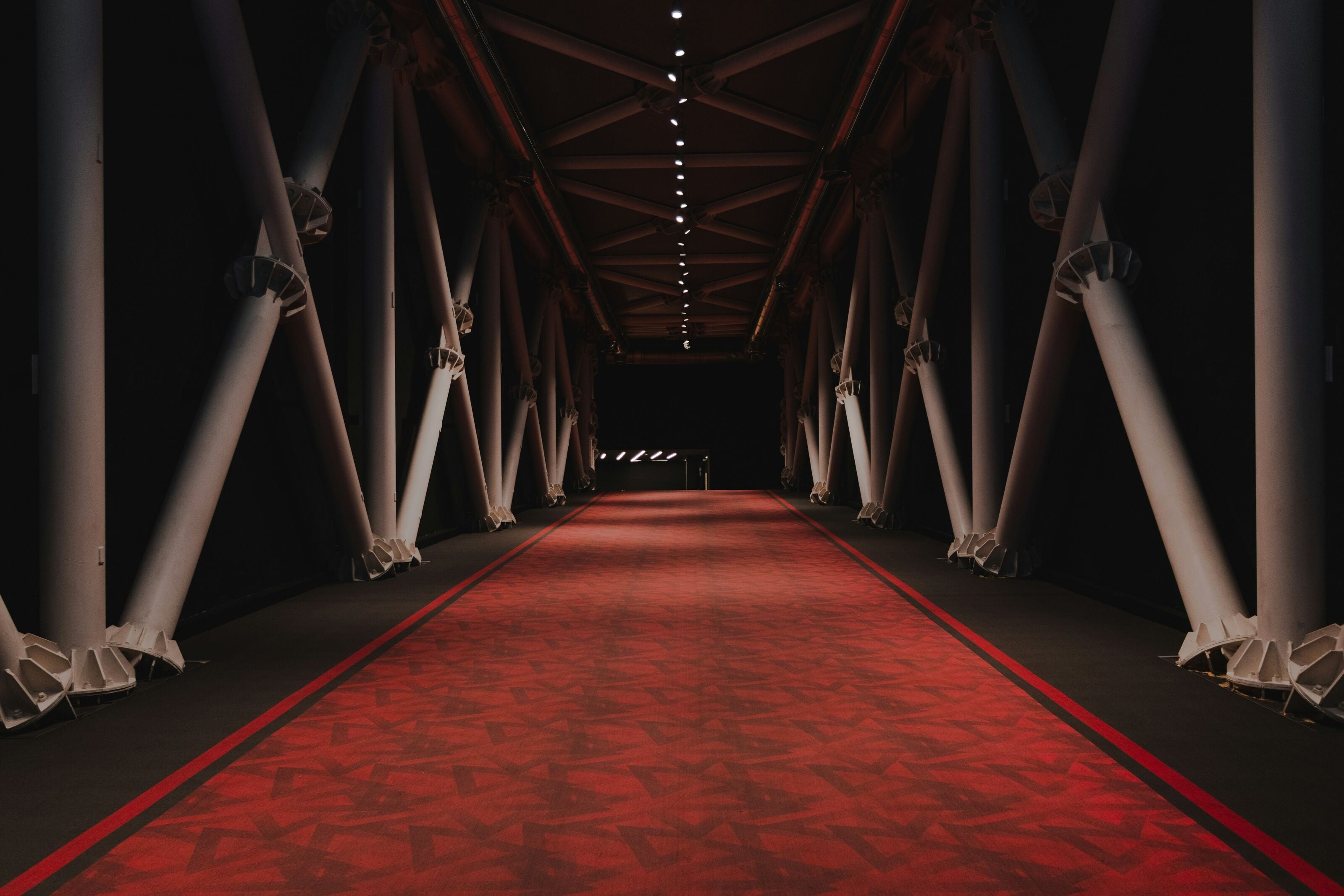 Image of a red carpet walkup for the Oscars where celebrities wear luxury jewelry.