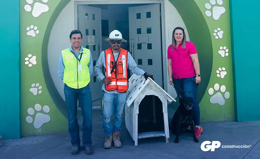 Un Hogar con Muchas Huellitas: Construimos casitas para perros y gatos con material reciclado
