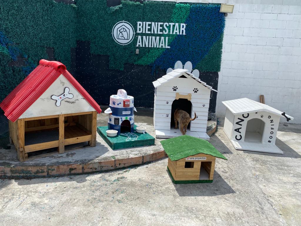 Construimos hogares con materiales reciclados