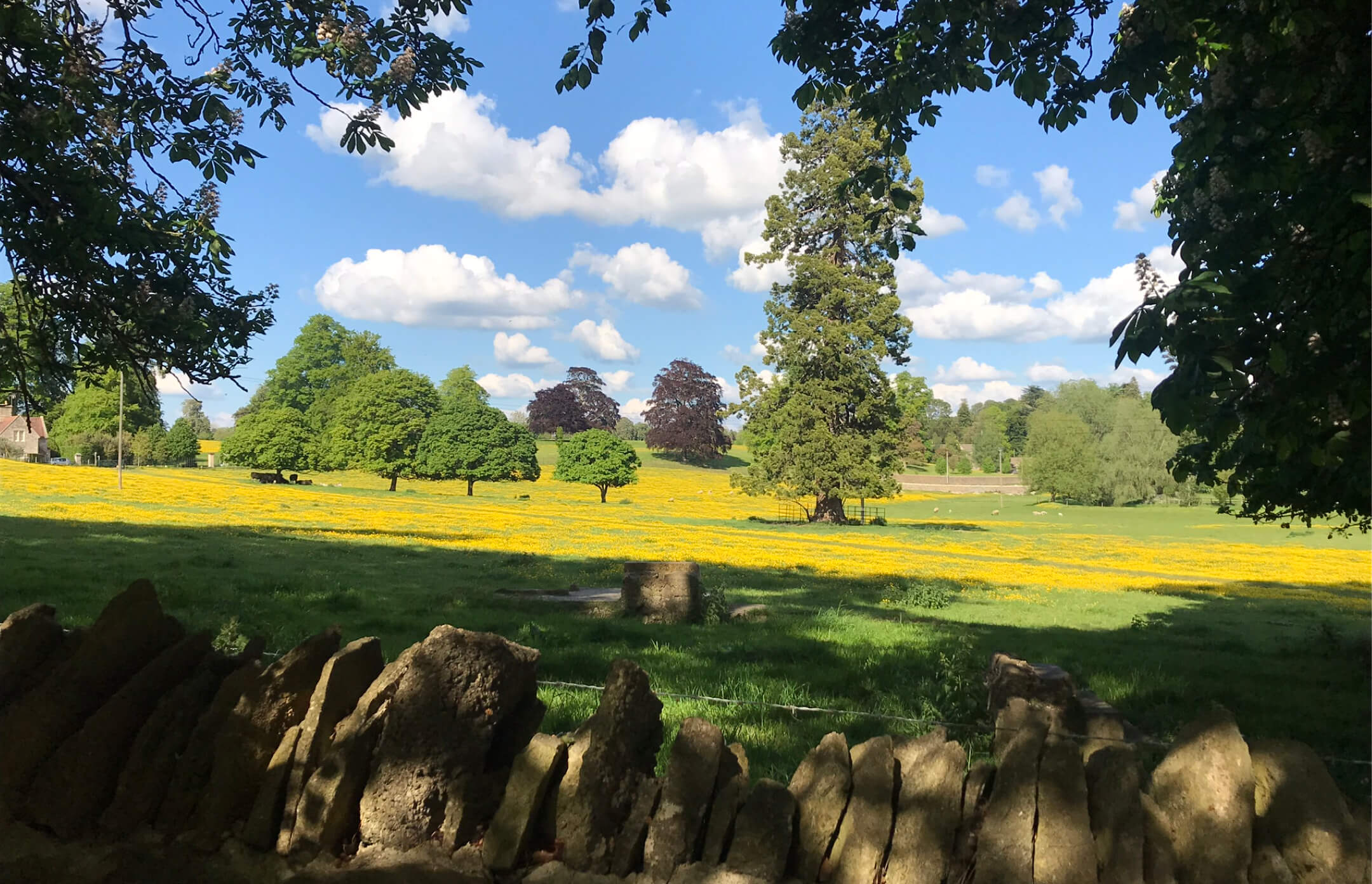 Sunny rural landscape with a stone wall, green grass, yellow flowers, scattered trees, and blue sky with clouds.