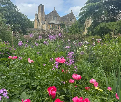 Flowers in the gardens at Hitcote Gardens