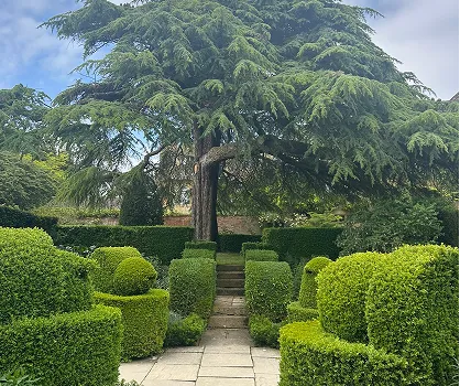 Hedges in the gardens at Hitdcote Gardens