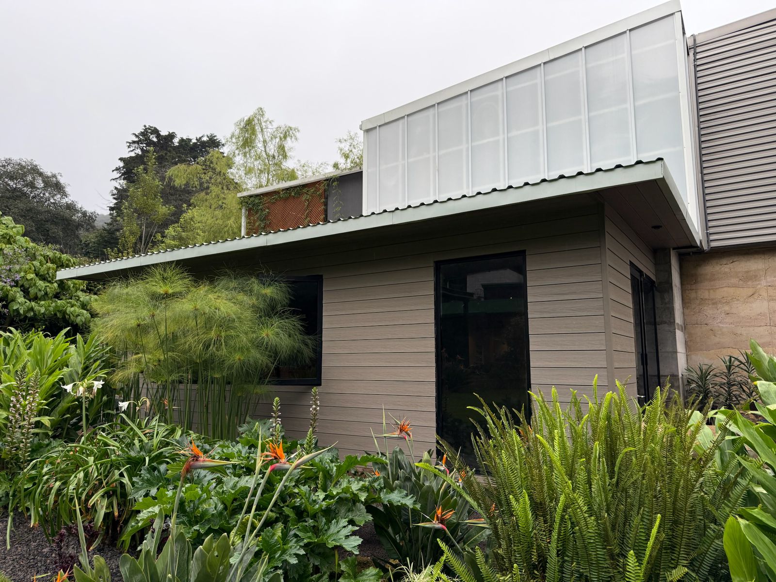 Casa moderna gris con muro acristalado en el segundo nivel y jardín con plantas y flores naranjas.