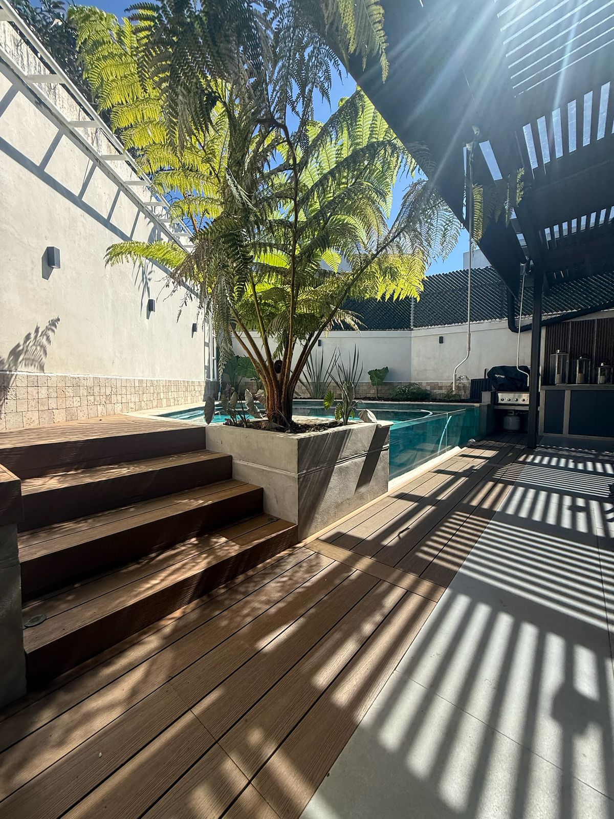 Árbol grande en jardinera junto a piscina y escalones de madera bajo luz solar y sombra.