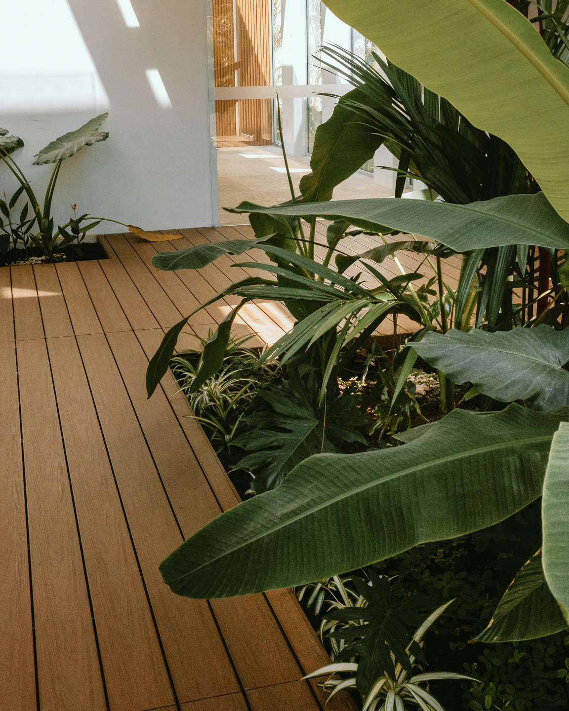 Plantas tropicales en un jardín interior con piso de madera y entrada con ventanas de vidrio.