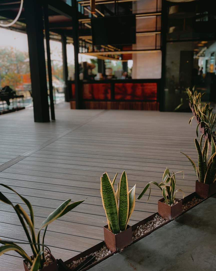 Plantas verdes en macetas alineadas junto a un piso de madera en espacio moderno interior.
