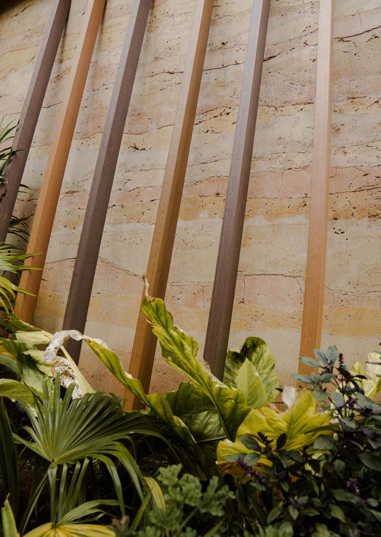 Vigas de madera en ángulo contra una pared de piedra con plantas verdes delante.