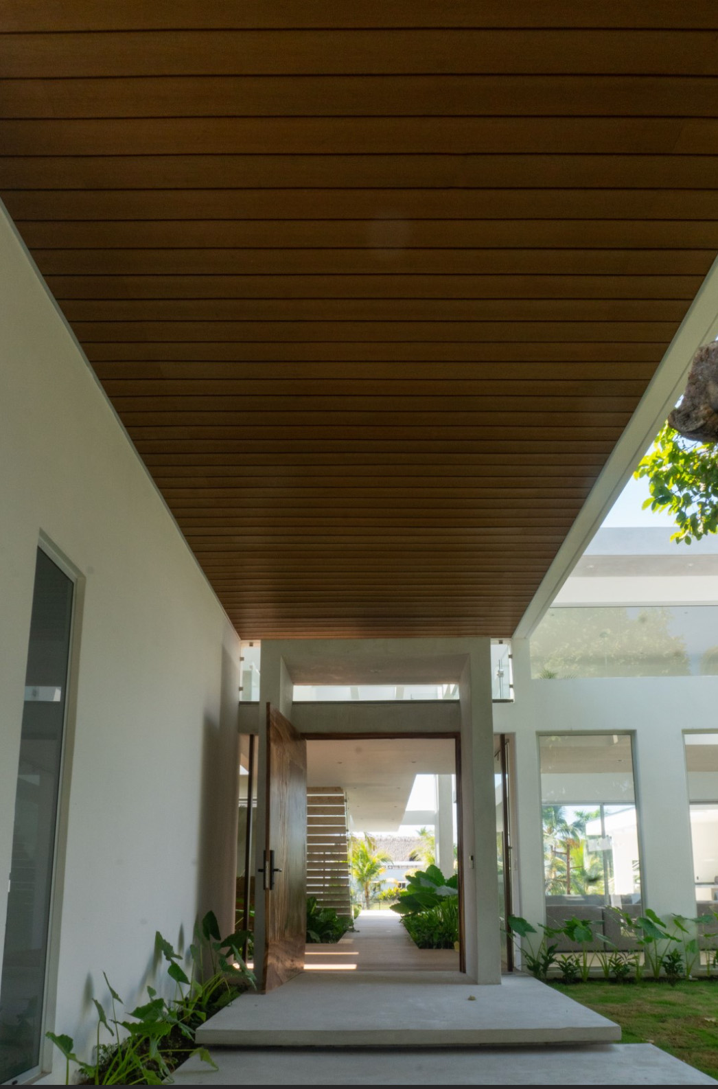 Entrada moderna con puerta de madera abierta y plantas verdes bajo un techo de láminas de madera.